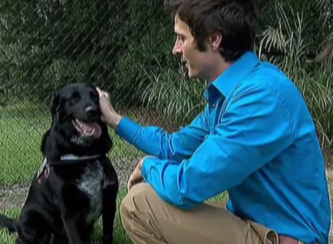 Dog Hero: Killian Saves Baby from Abusive Babysitter (2013)