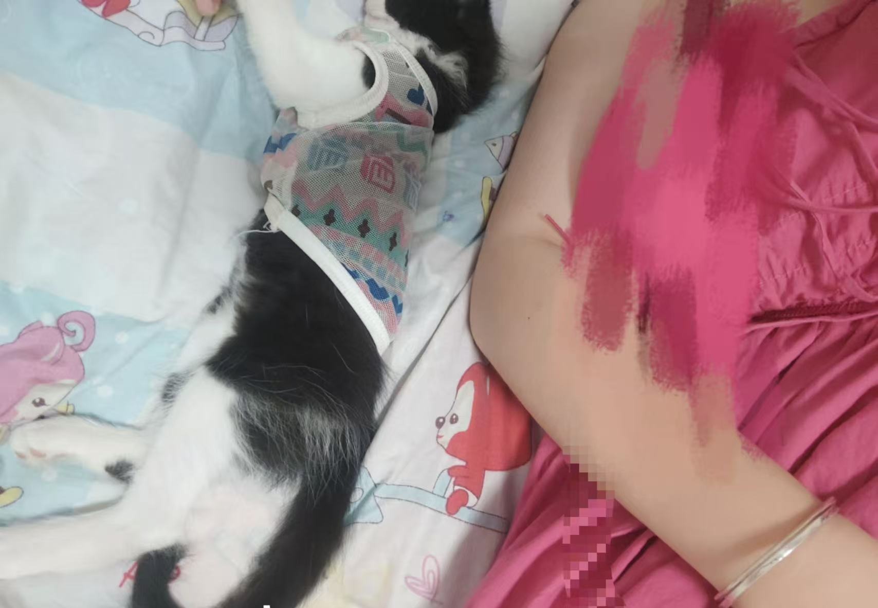 Gentle Waiting at the Rescue Center