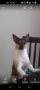 Johnny,Ty, &Lil Pookie. 