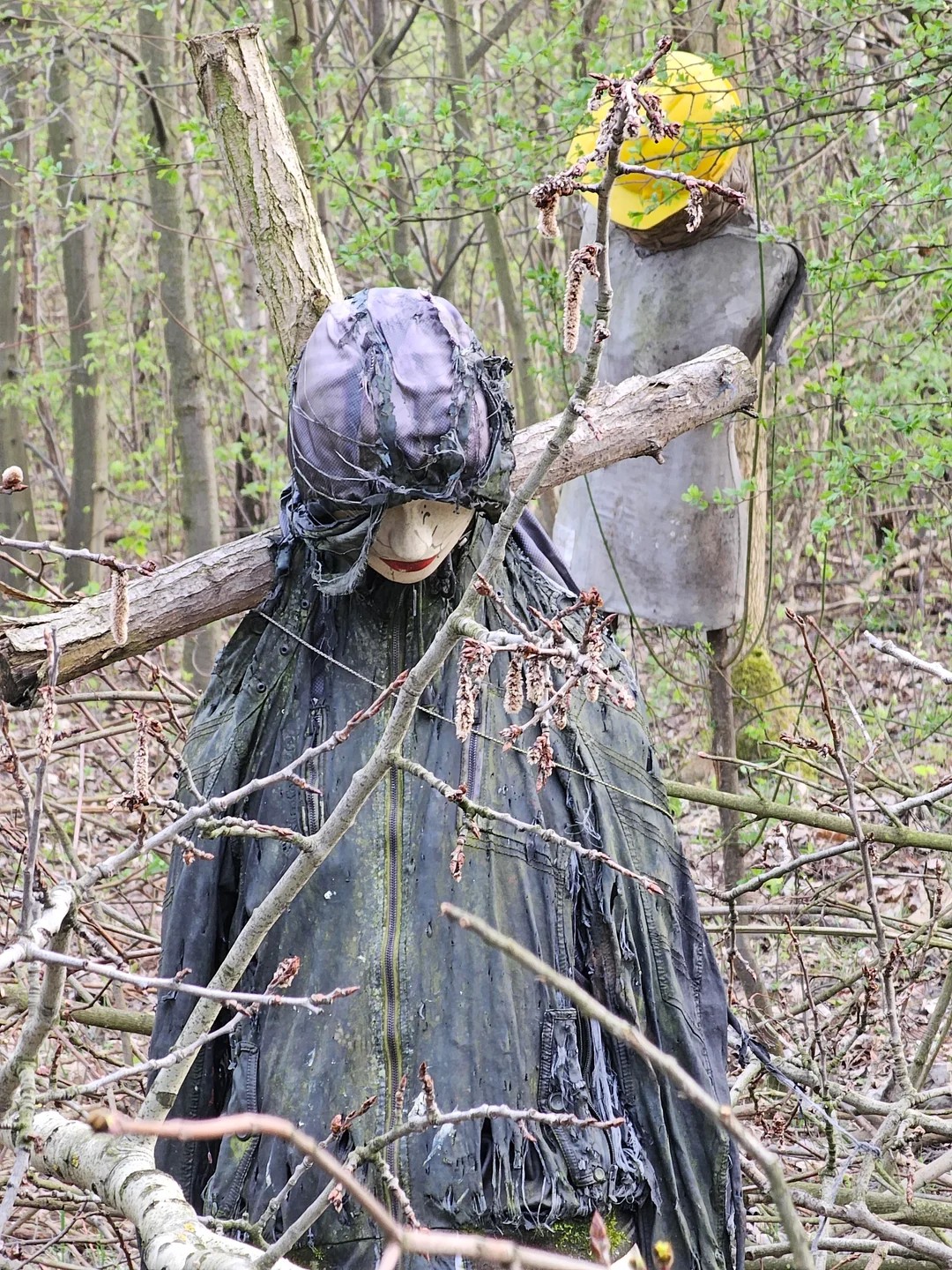 Found in a middle of a forest🥶