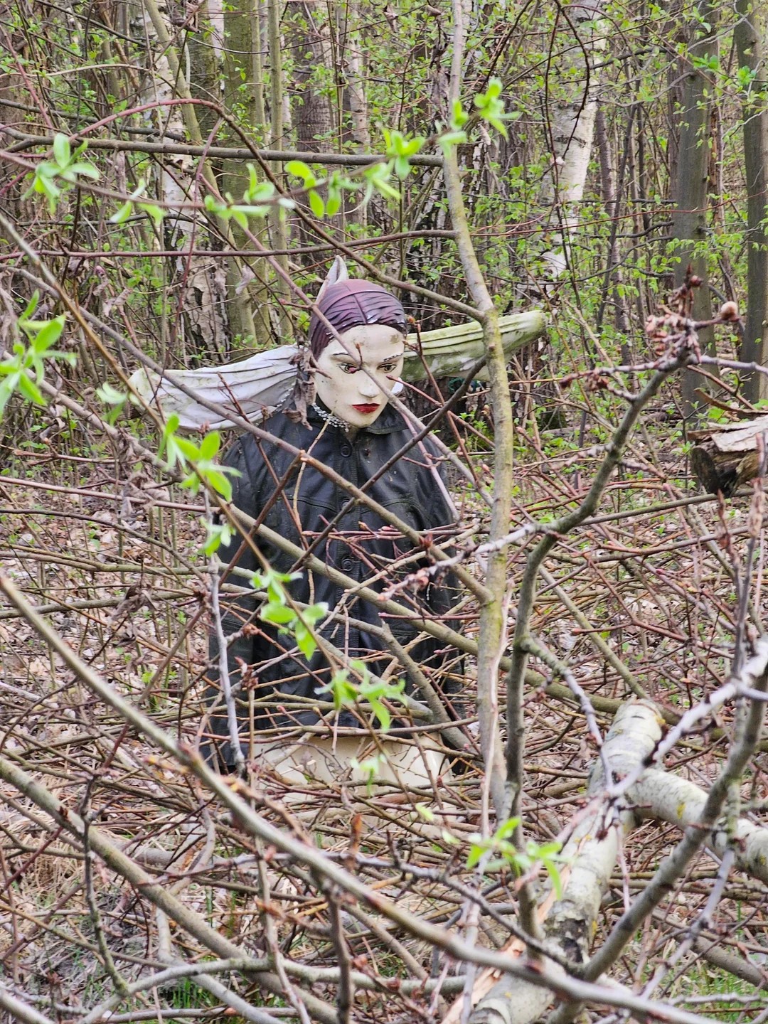 Found in a middle of a forest🥶