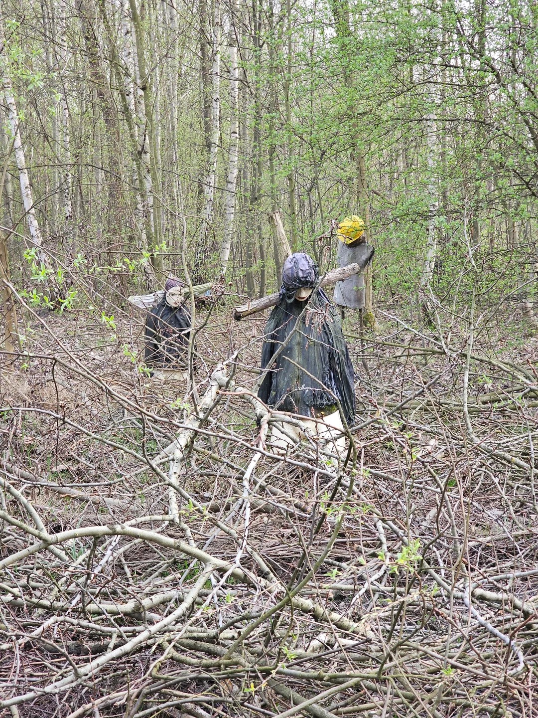 Found in a middle of a forest🥶