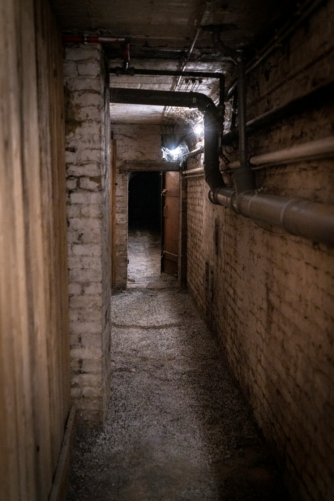 The creepiest thing my kid ever said, must be the "Lady" in our cellar