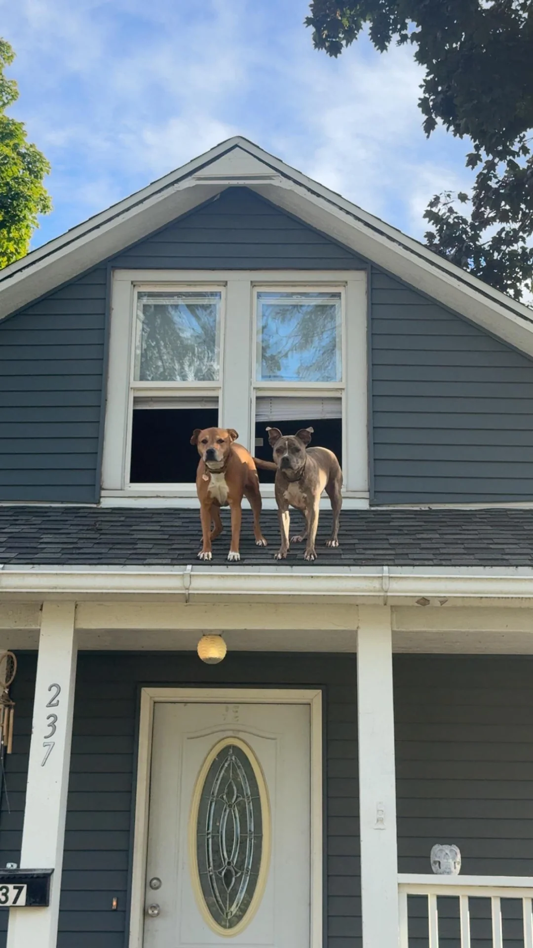 Well, I guess this wasn’t what you expected to find upon arriving home.