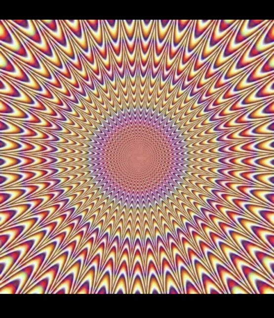 Lori in South Carolina