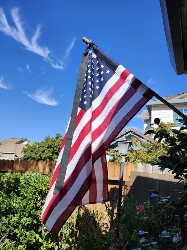 Merica!