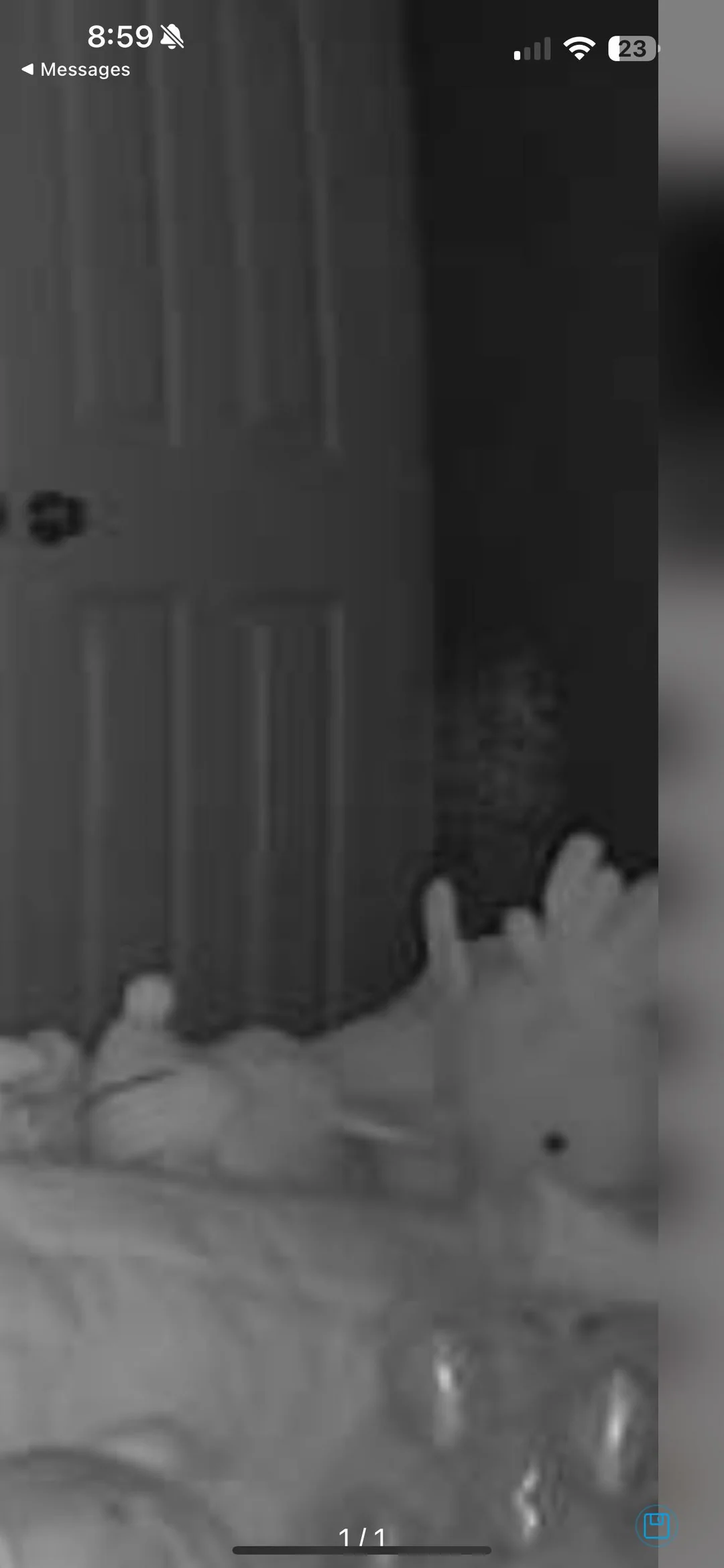 Sister just bought a house and caught this on camera