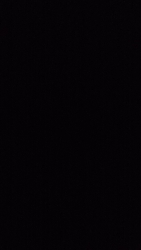 SE