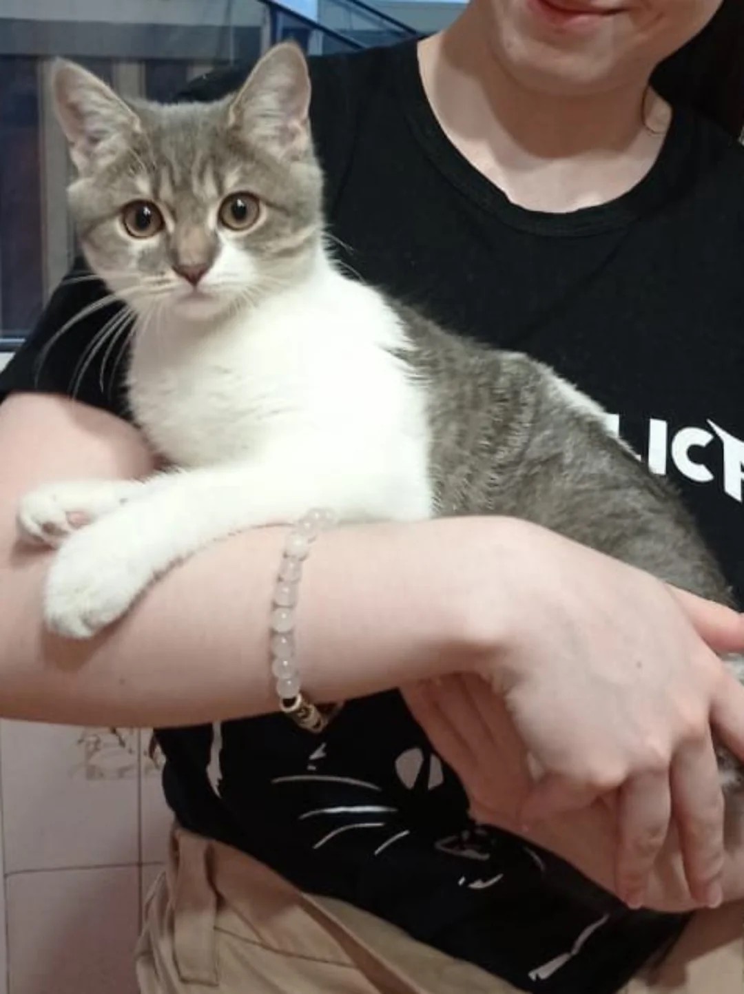 The evolution of my cat🤣