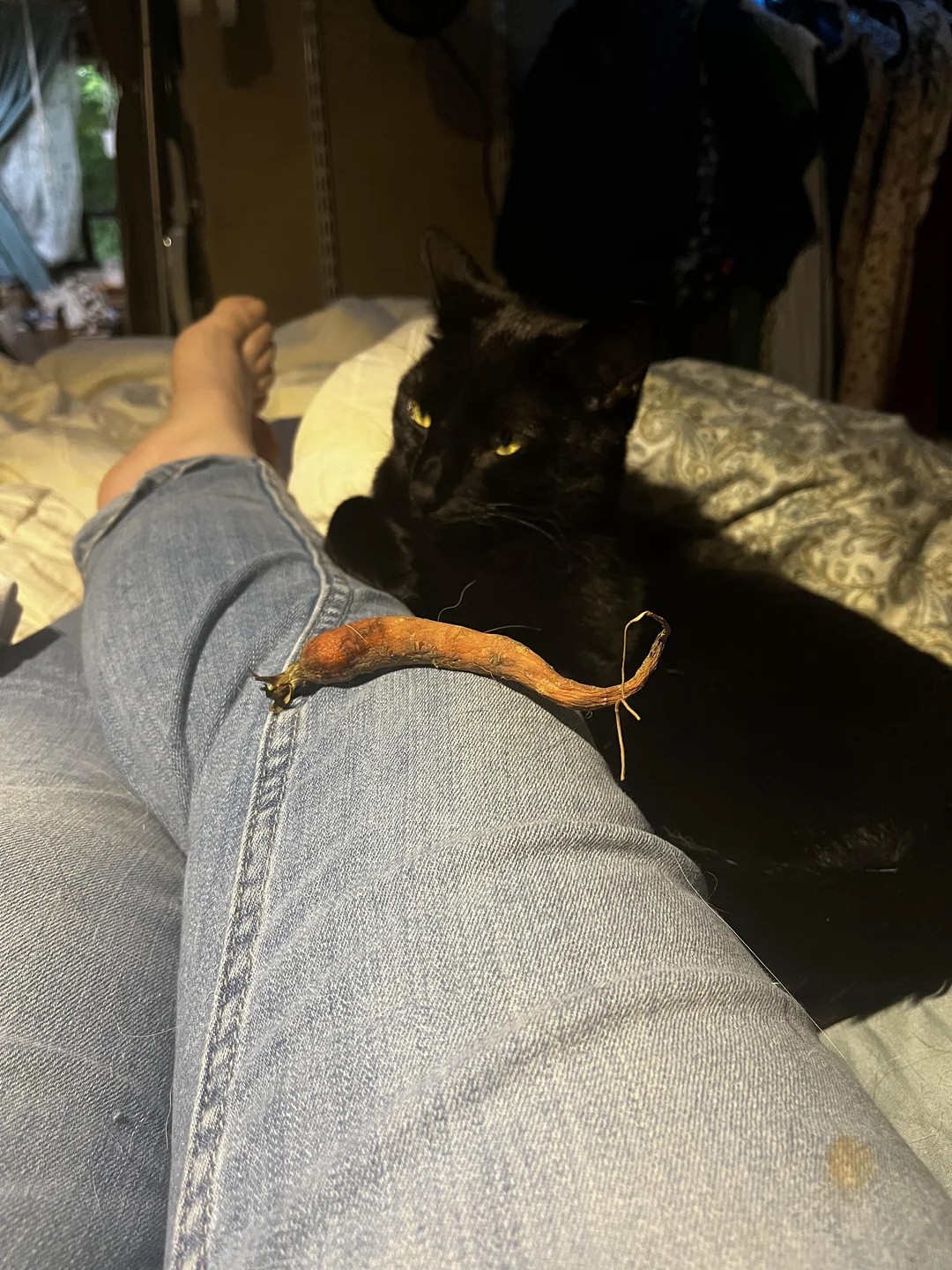 Refused his present…