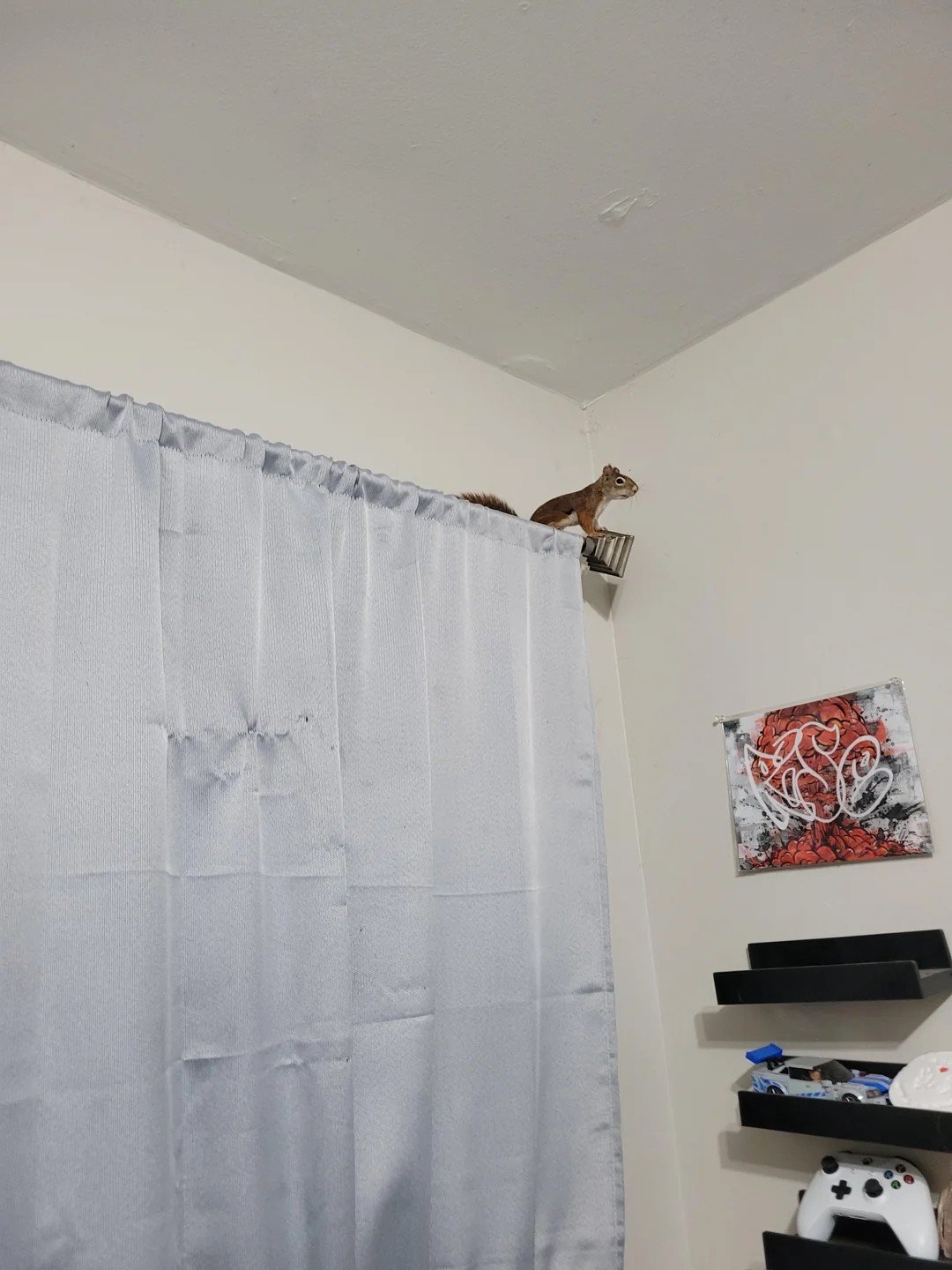 This would only happen to me😂