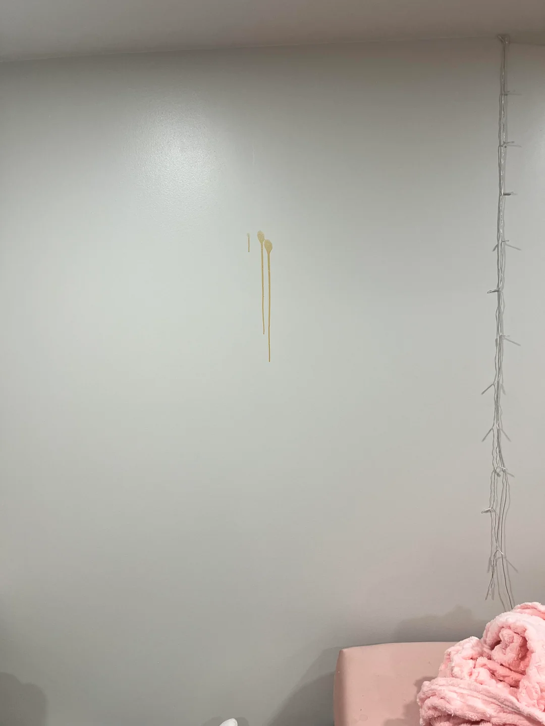 SOS! This Orange Slime Is Dripping Down My Walls. What on Earth Is This?