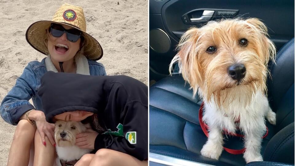 Giada’s Pup Bruno Turns 9—Cuteness Overload!