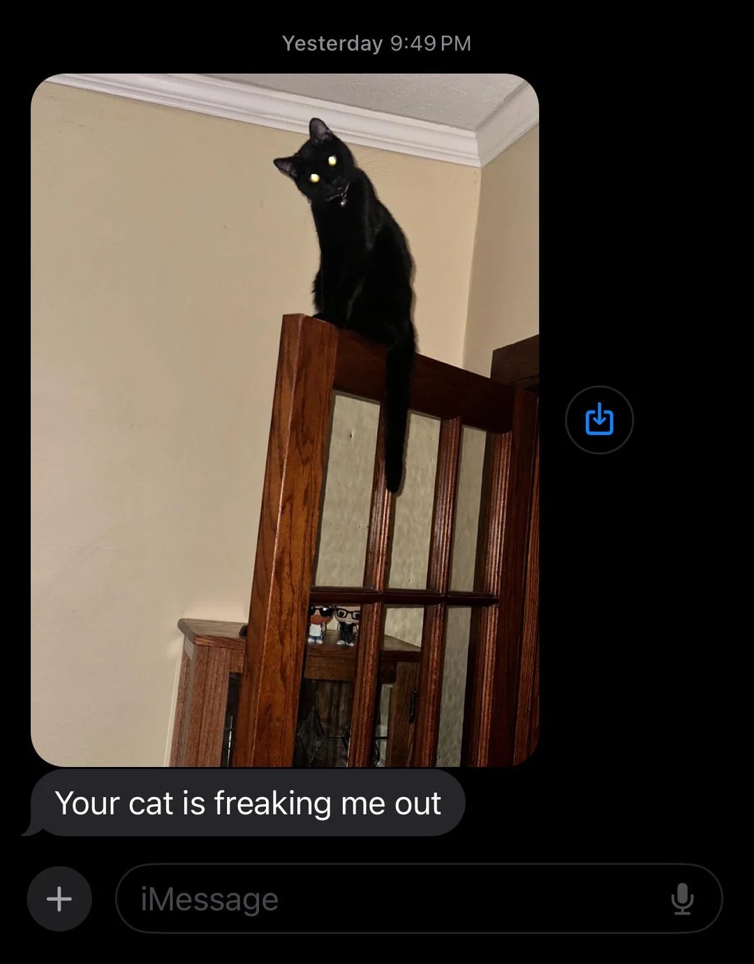 “husband sent me this picture of our cat last night while me was in bed.”