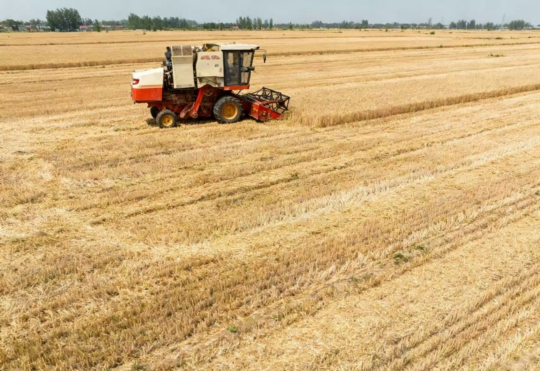 They’re deporting workers while small towns can’t even find enough hands to get the job done.