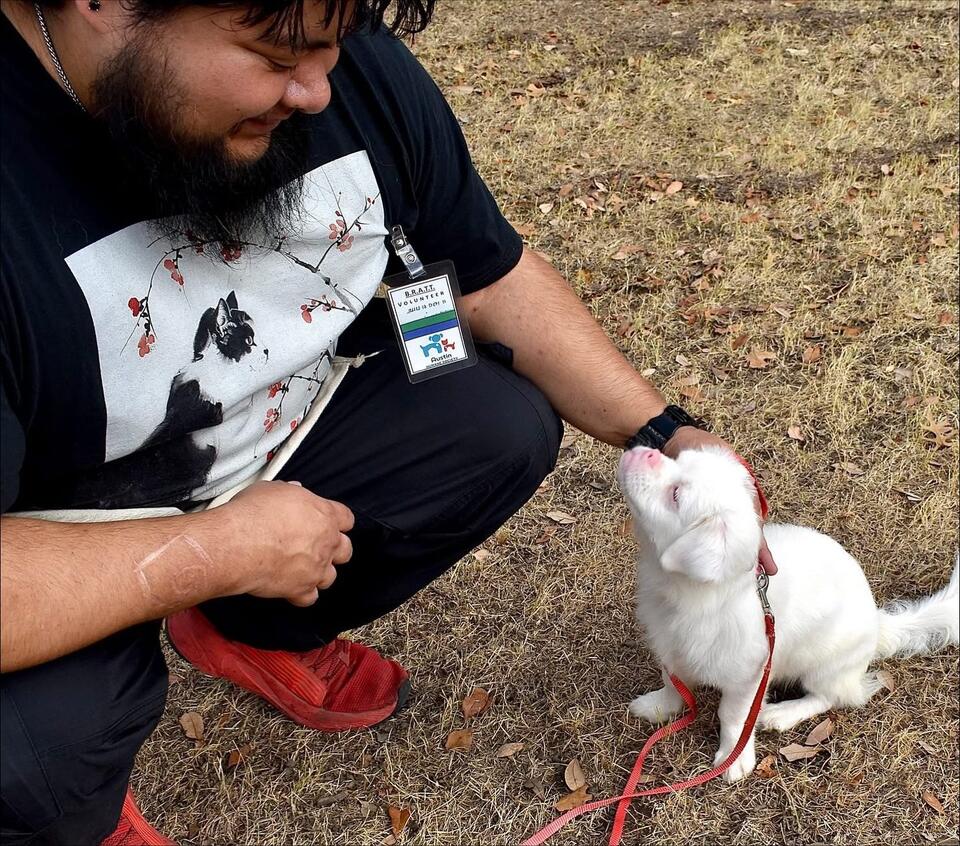 Why Is Silkworm Still Waiting?