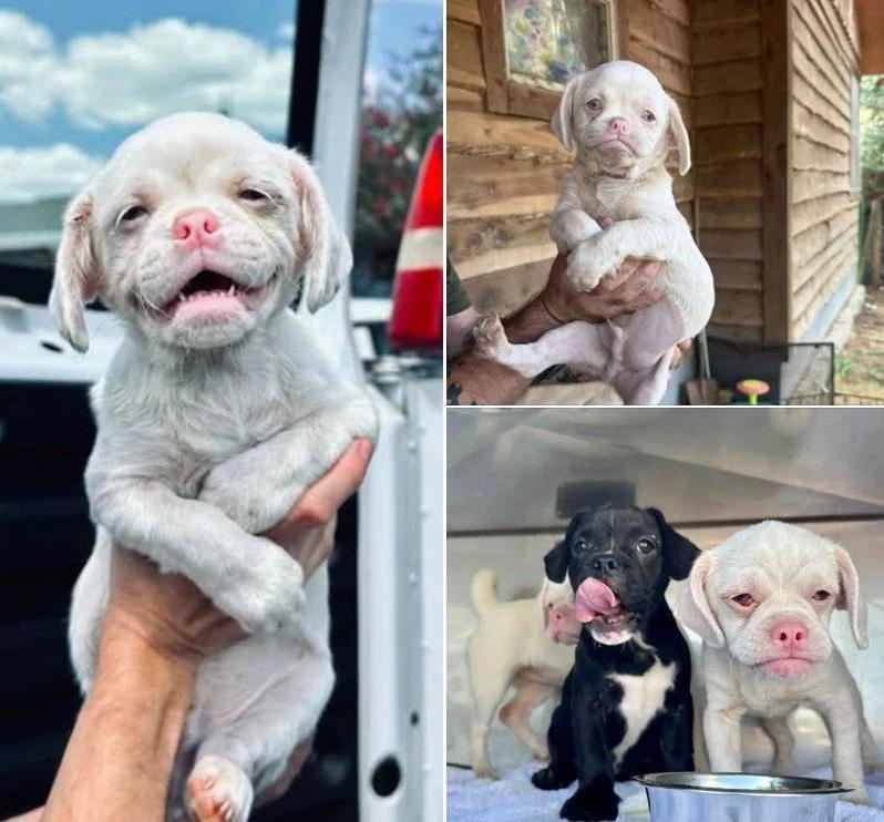 Why Is Silkworm Still Waiting?