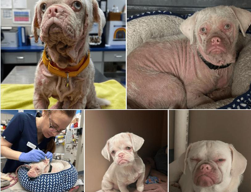 Why Is Silkworm Still Waiting?