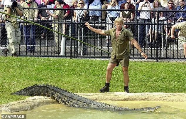 Irwin Family Faces Backlash Over Old Faithful 🐊