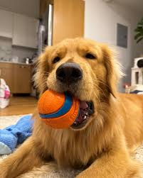 🐾 Day 210 with Grace 🐾