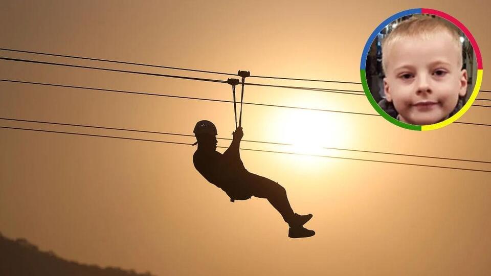 Zipline Horror: Wasps Attack Tourists