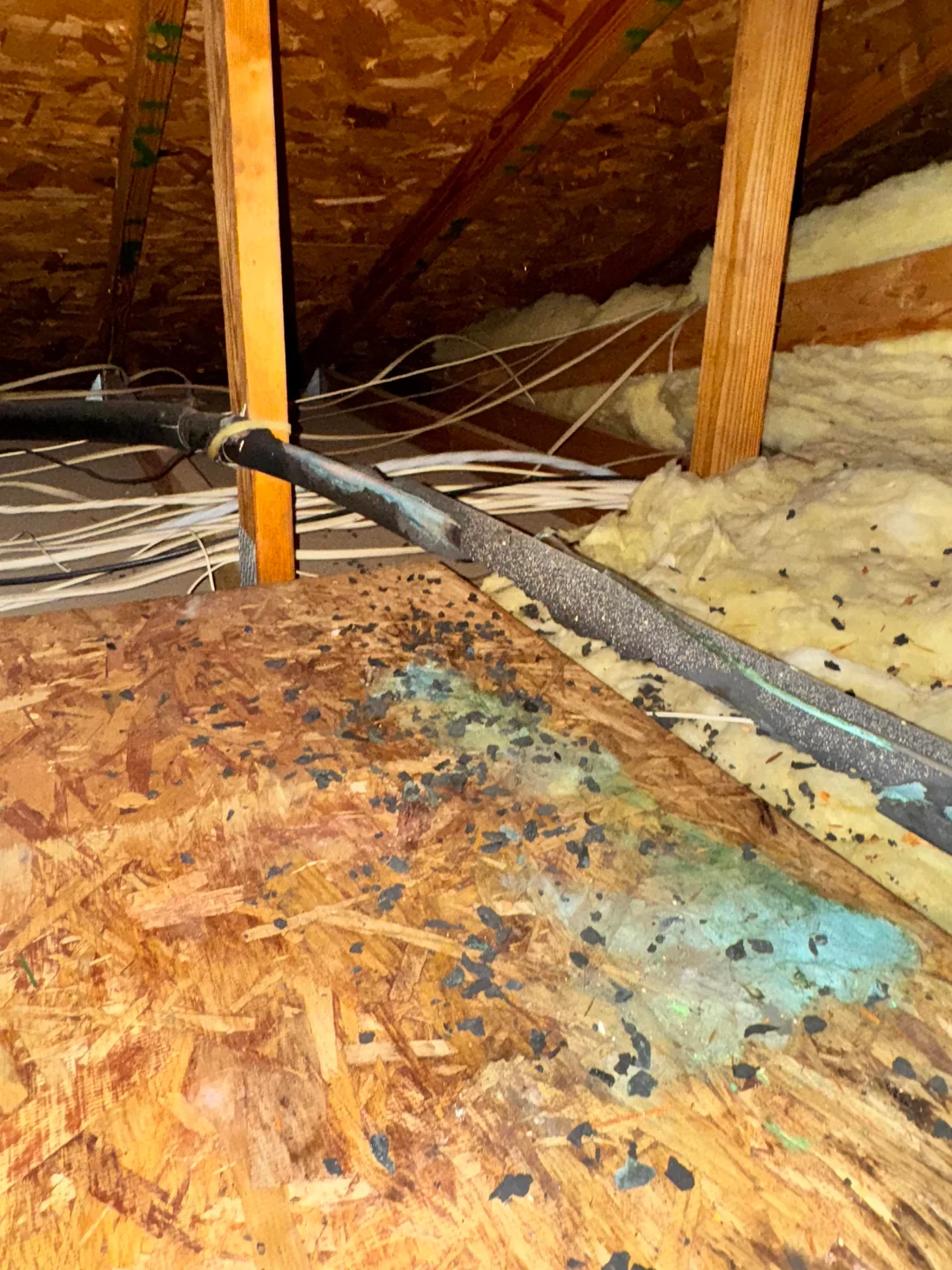 I Went Into My Attic for Christmas Lights and Found This. What Is That Blue Stuff?