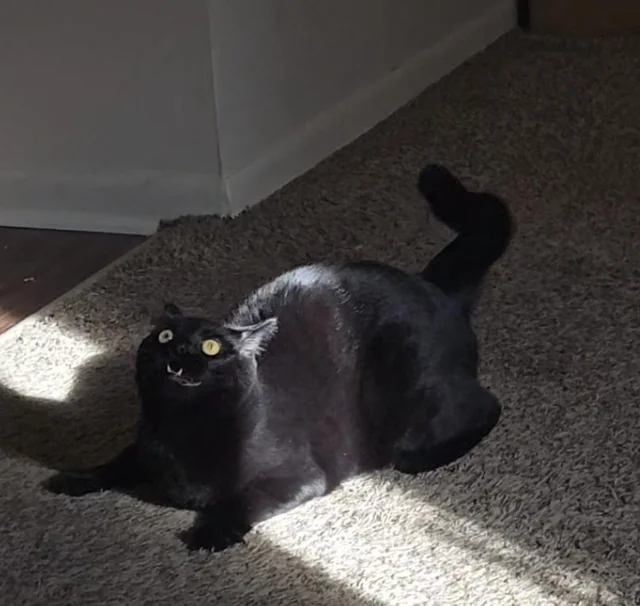  just came back from a weekend away, and she sure had a lot to say about it