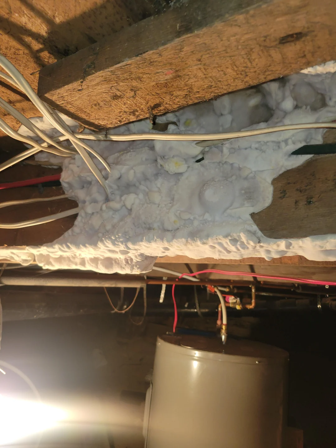 I Found White Stuff ALL OVER My Crawl Space. How Bad Is This Mold Going to Be