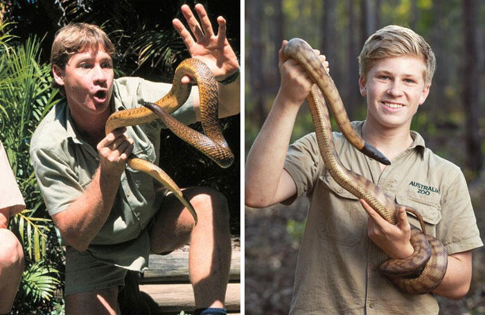 Robert Irwin’s DWTS Trophy Could Hit the Zoo!