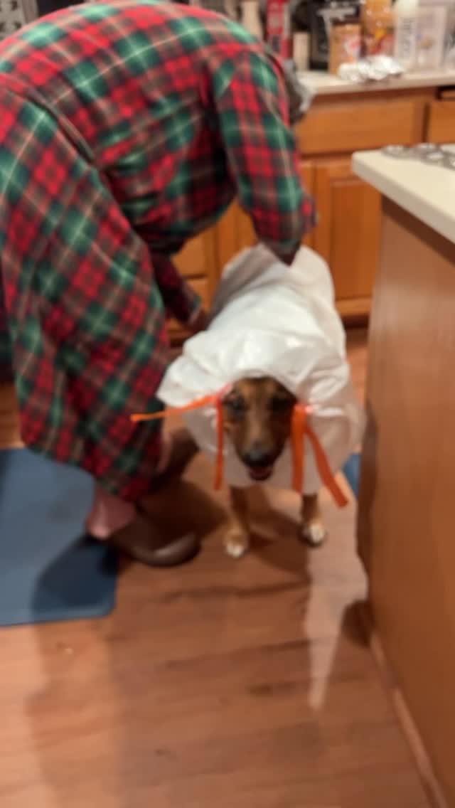 Trash Bag Raincoat: Tucker’s Rainy Day Glow-Up