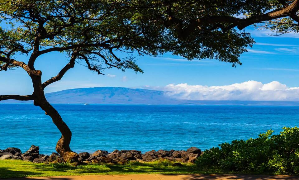 One billionaire, one island: Lāna'i’s future?