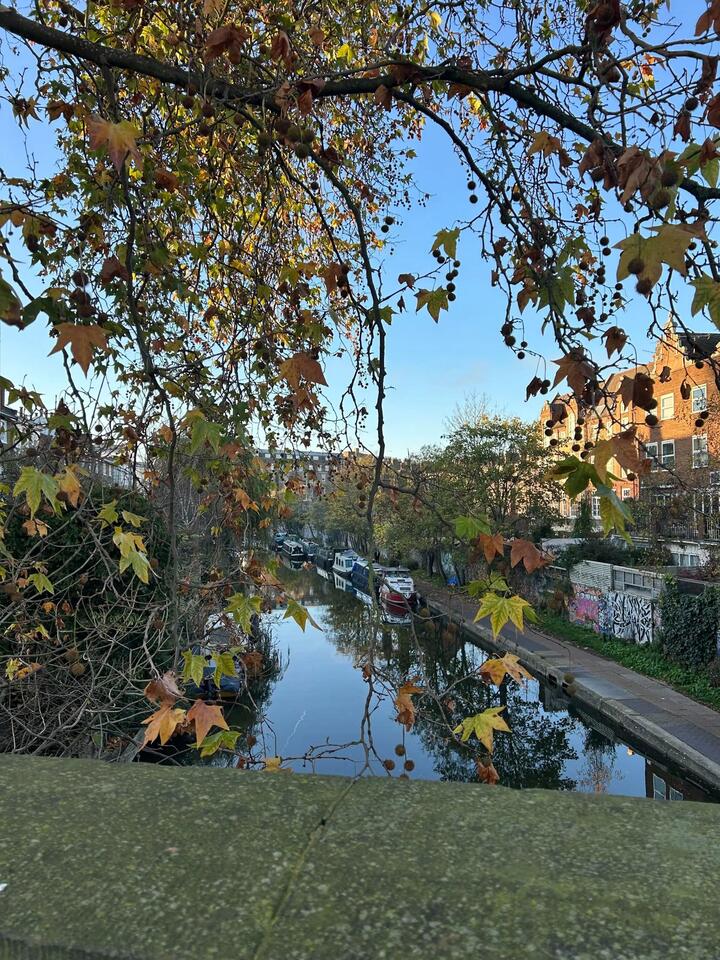 How I Finally Became a Morning Person