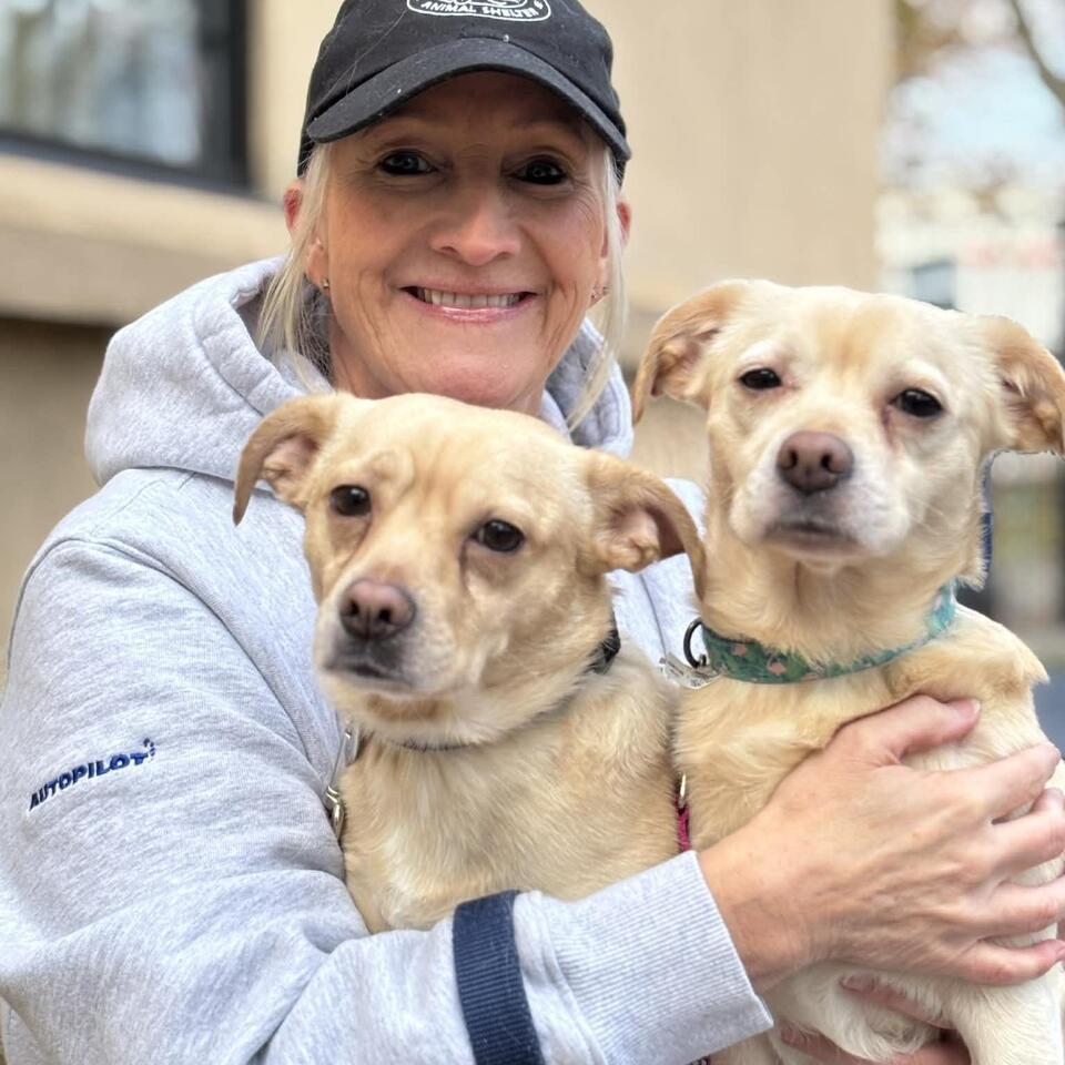 Buffalo pups looking for loving homes