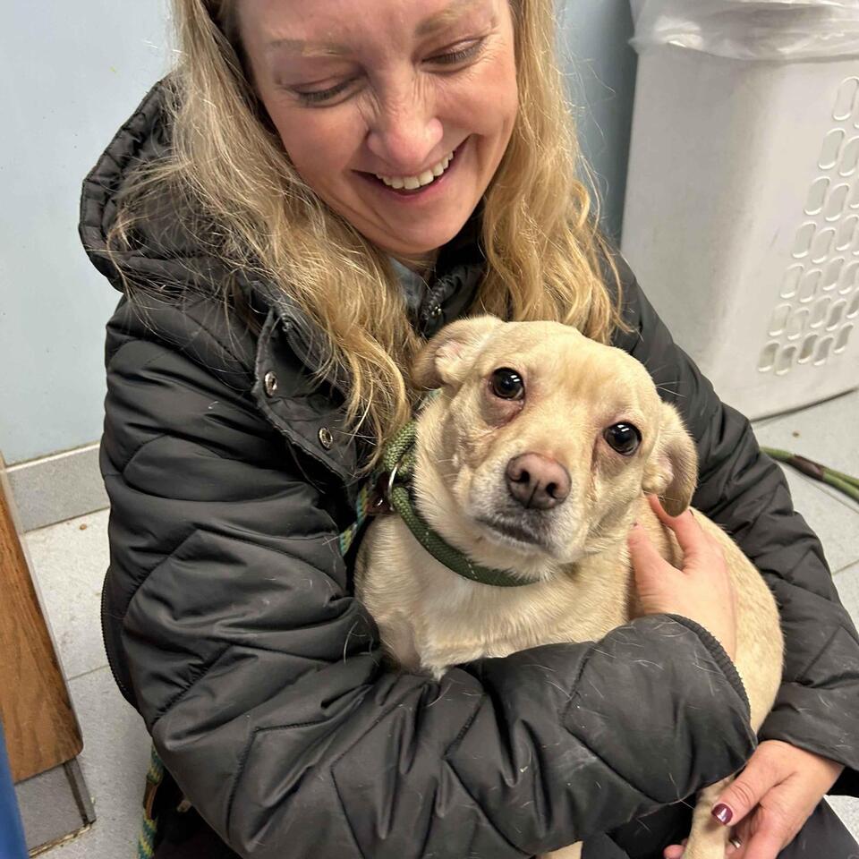 Buffalo pups looking for loving homes