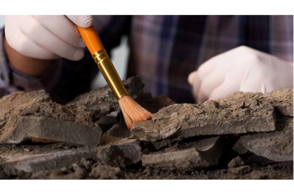 Jurassic Sky Giant Found in UK!