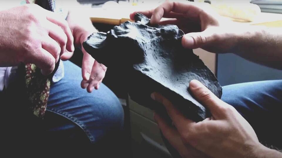 Europe’s T-Rex? Meet the White Rock Giant!