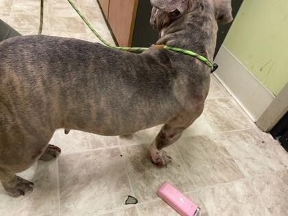 Meet Cincinnati’s newest furry neighbors