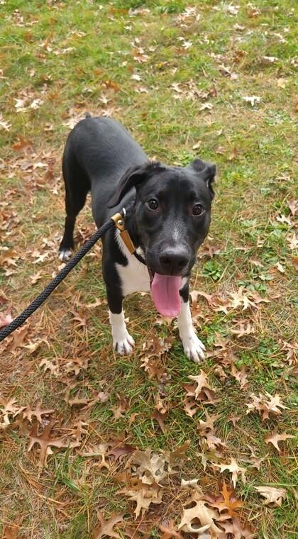 Meet Cincinnati’s newest furry neighbors