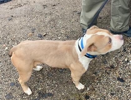 Meet Cincinnati’s newest furry neighbors