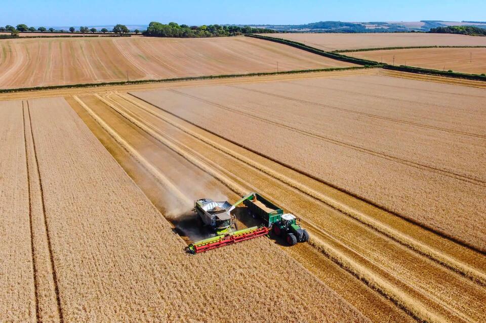 Why Your Groceries Might Cost More Soon