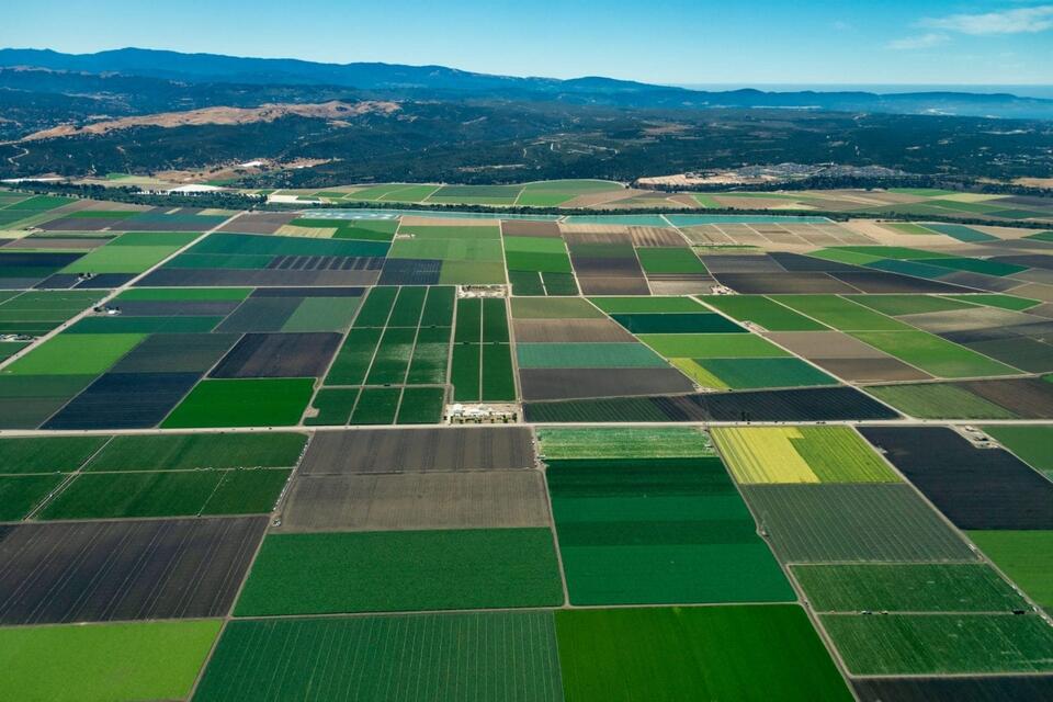 California crops face toxic chemical threat