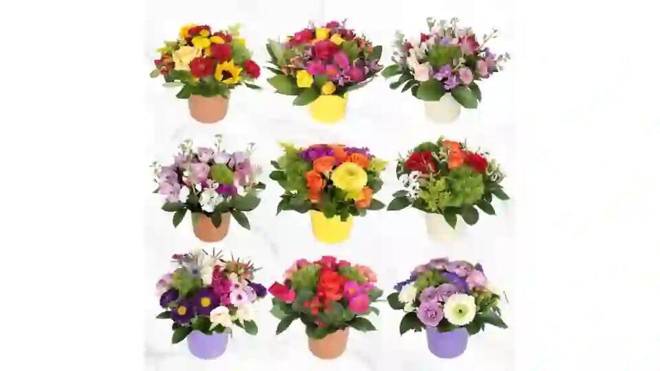 Costco’s Thanksgiving Must-Haves Are Vanishing!