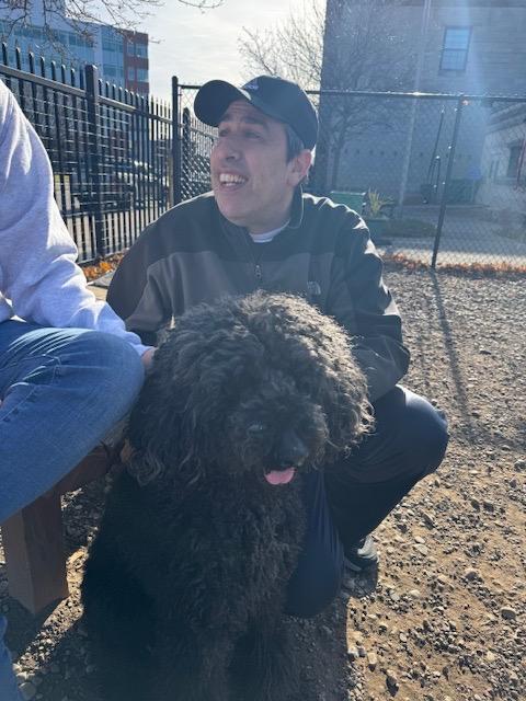 Buffalo pups ready for new homes!