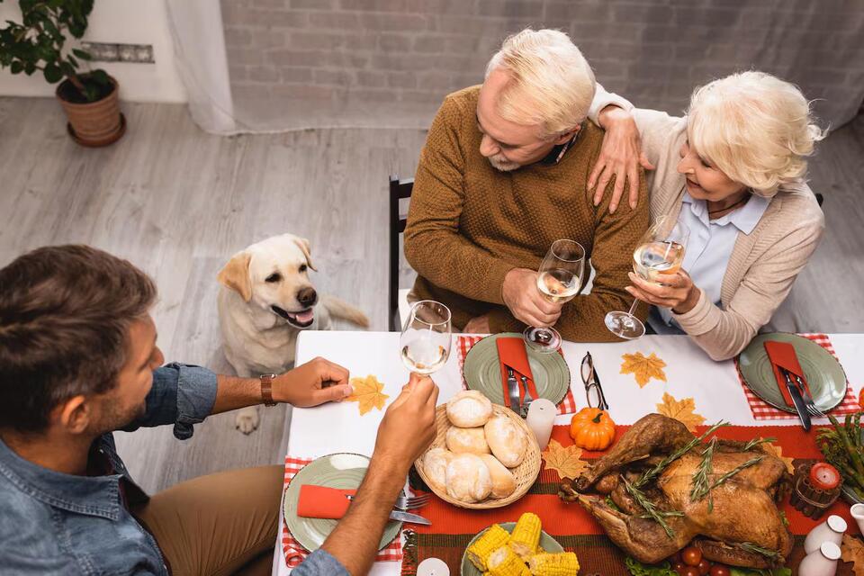 Keep your dog safe this Thanksgiving