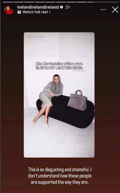 Kim K’s $125K Bag Sparks Outrage