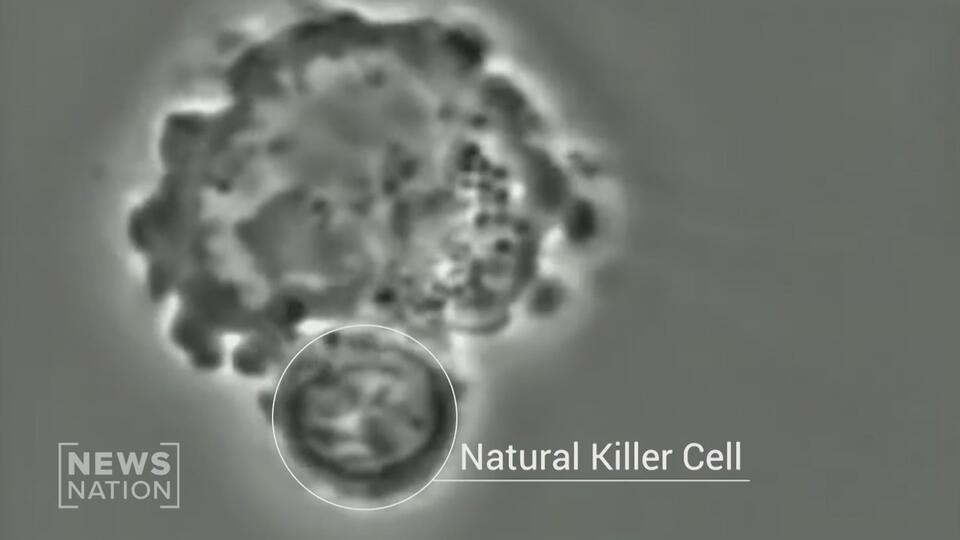 This Cancer Breakthrough Doesn’t Need Chemo