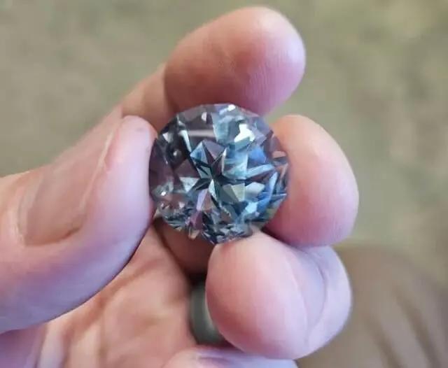 Hidden gems: Thrift store shopper’s wild find