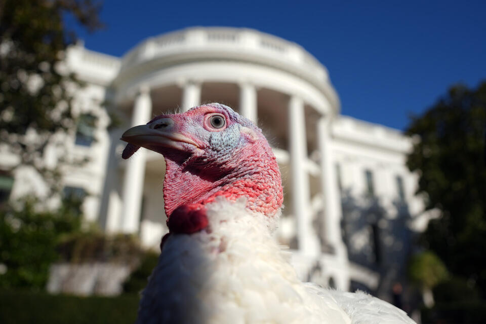 Thanksgiving 2025: What’s Actually Open?