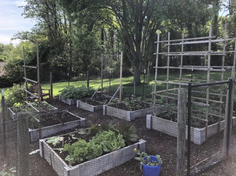 the “don’t buy soil” trick every home gardener should know