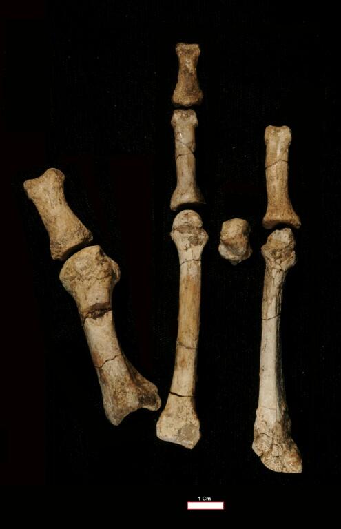 Ancient Human Foot Mystery Solved!